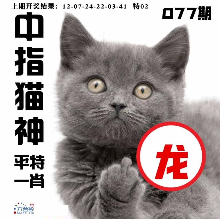 077期中指猫神[图]