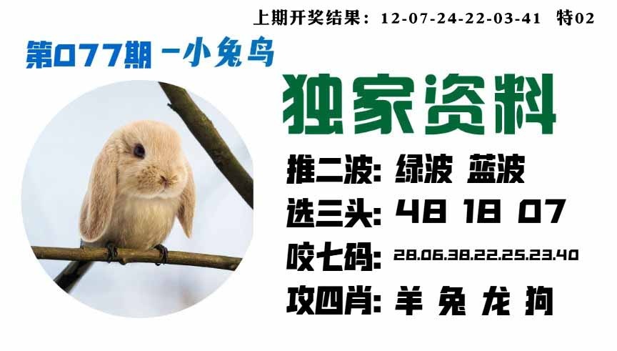 077期小兔鸟[图]